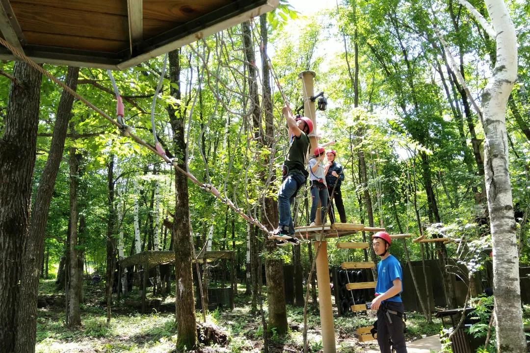 白山之夏旅游,白山4天旅游攻略