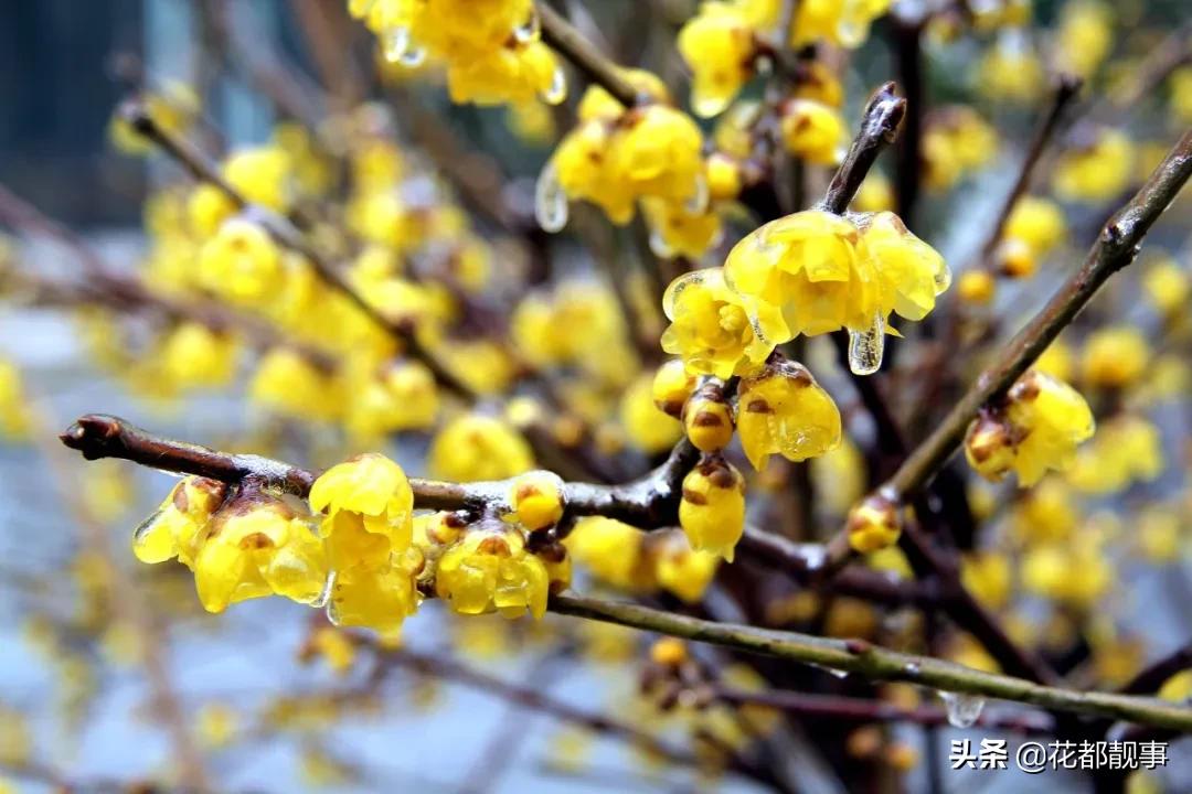 美丽泽州我的家,美丽我的家