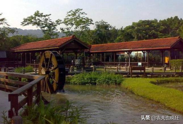 打工人回村过年现状,春节返乡潮不在新房成交规模下降