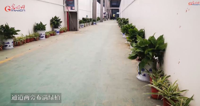 新冠肺炎天价治疗费曝光,新冠肺炎治疗费多少钱