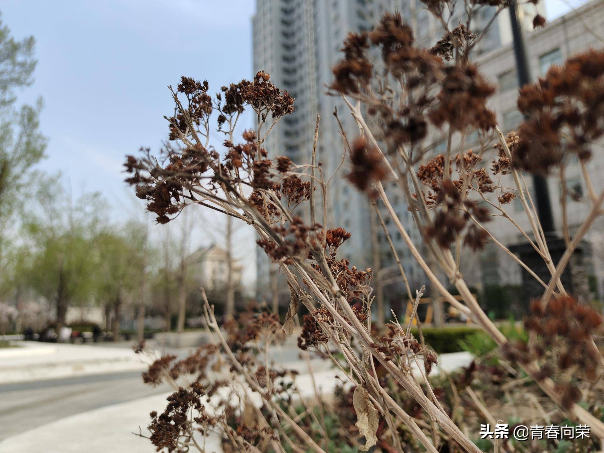 一份来自用户角度的评测：VIVONEX3S手机