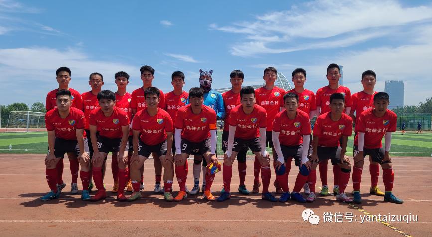 欧洲杯绿茵赛场烽烟再起,欧洲杯燃起战火