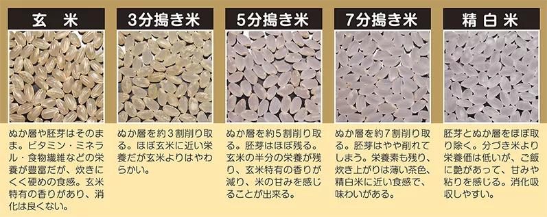 柴米油盐酱醋茶细细品尝,日本人用稻米油