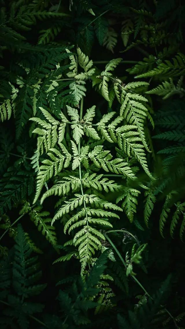 白岩松经典语录感悟人生哲理 (白岩松经典语录集锦好的变成坏的)