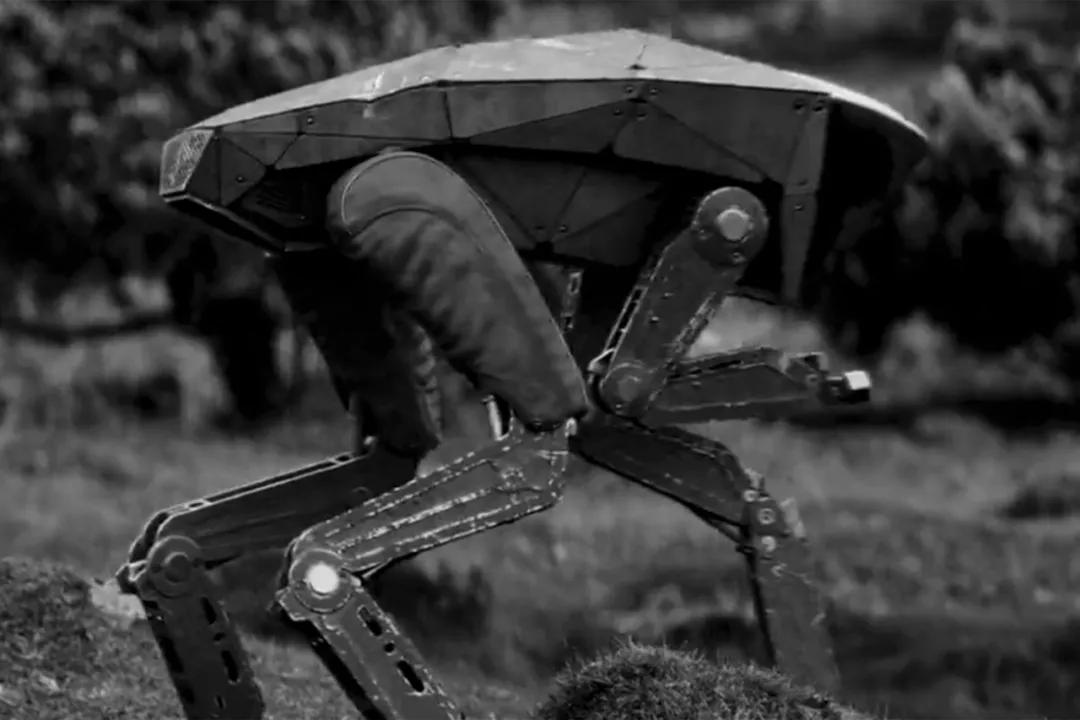 雷军铁蛋视频,雷军小米机器狗