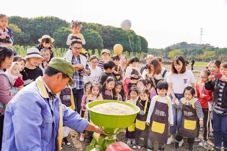 爱丁堡幼儿园教学资料,爱丁堡幼儿园自然教育