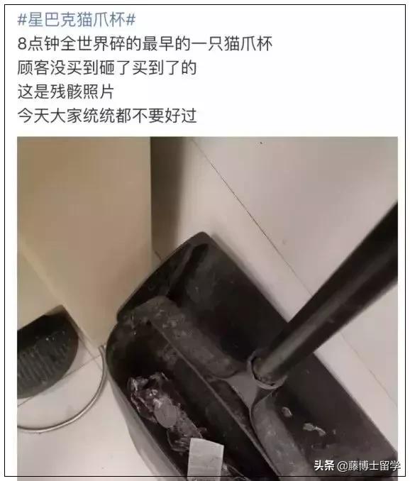 星巴克圣杯杯,星巴克圣杯