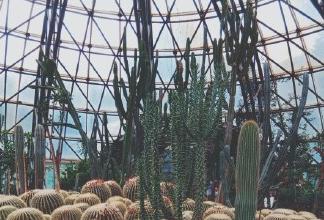 昆明适合拍照的景点有哪些,昆明大理周边旅游景点排名榜前十