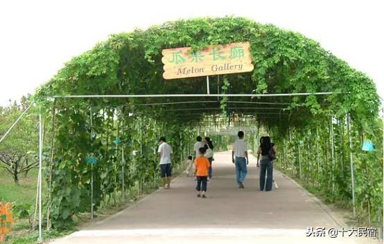 苏州太湖西山岛旅游攻略一日游,太湖西山岛步行一日游攻略