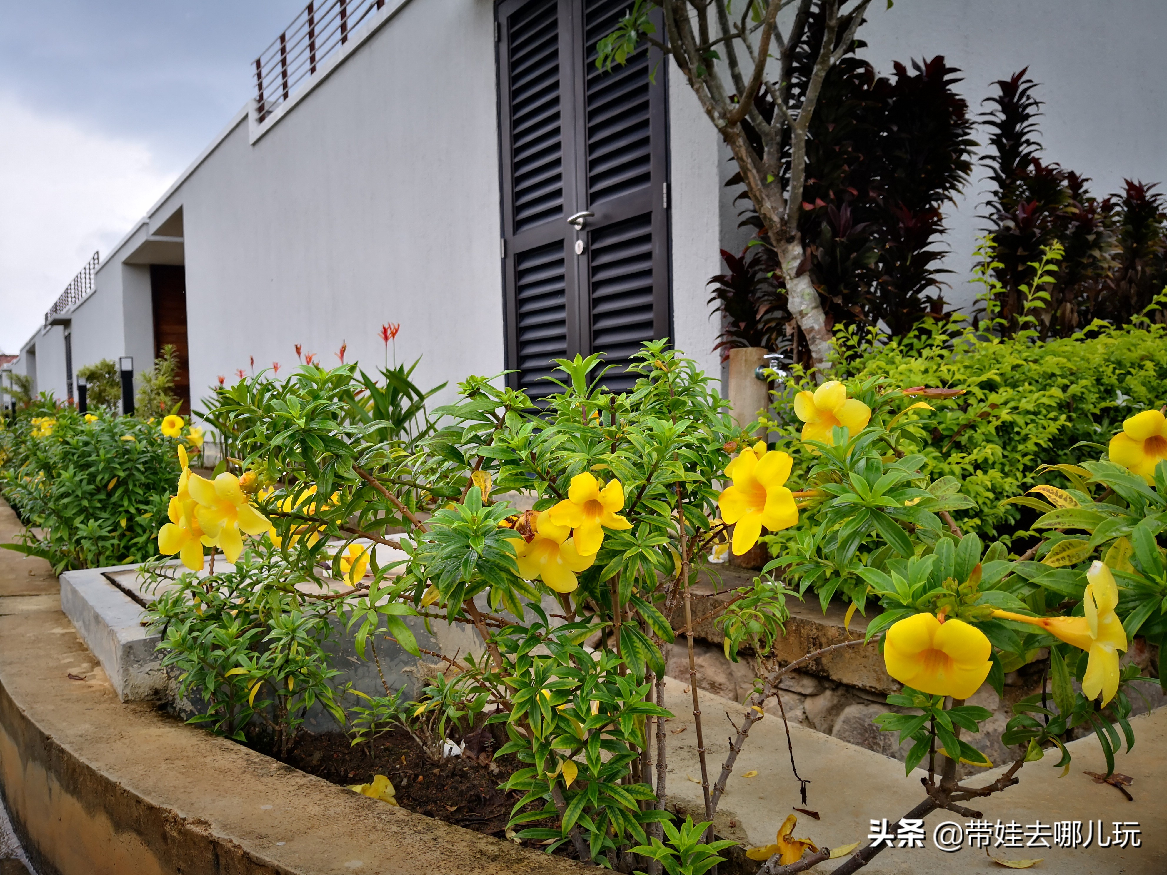 新加坡民丹岛值得一游,新加坡巴淡岛和民丹岛