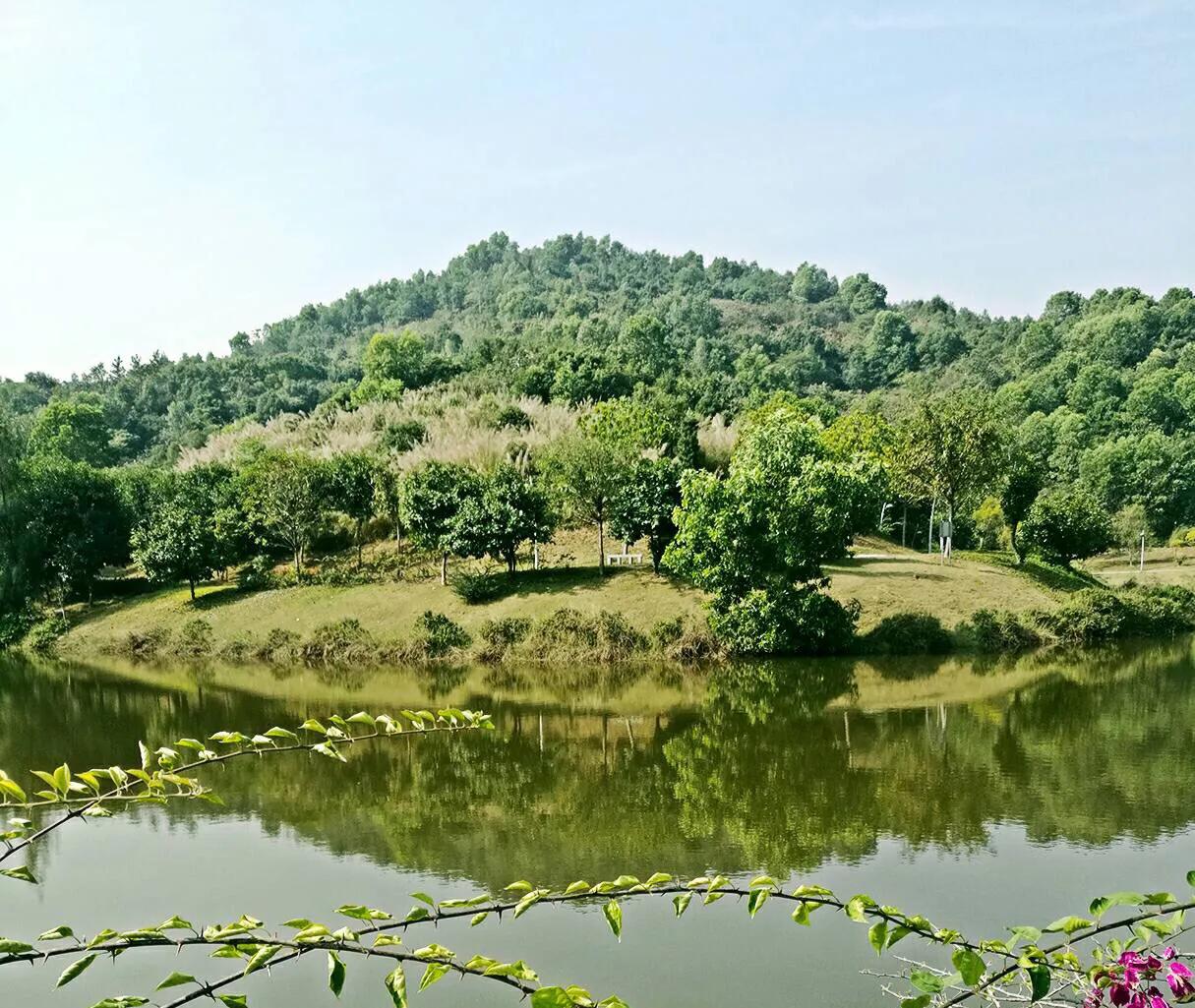 湖泊风景区推荐,深圳十大免费主题公园