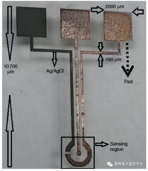 柔性可穿戴设备的发展,微流体装置的应用