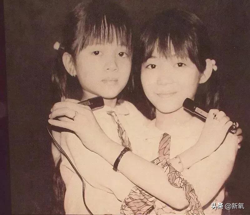 香港梅艳芳的一生,梅艳芳致敬香港儿女