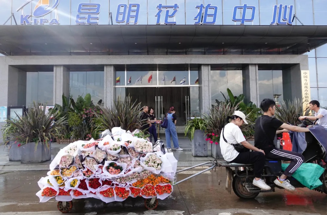 到云南，走出一条「花路」