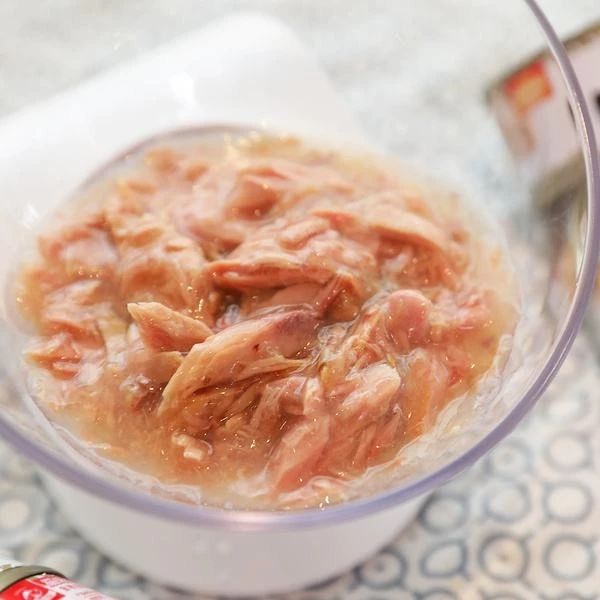 猫罐头里卡拉胶的危害,猫罐头里加卡拉胶正常吗