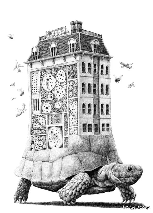 小清新素描黑白插画,看似抽象实则写实的画