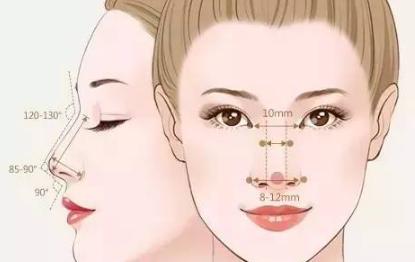 丑鼻子三大特点,10种难看的鼻子