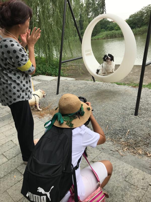 带宠物住酒店攻略,带宠物住什么酒店好