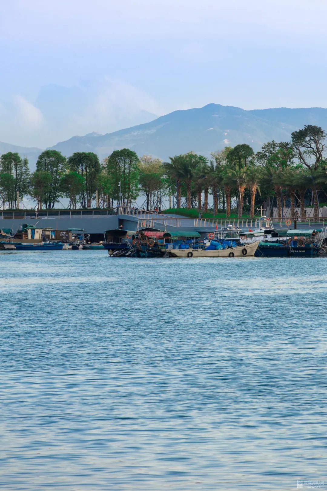 蛇口，一个住下来就不愿意再搬走的地方