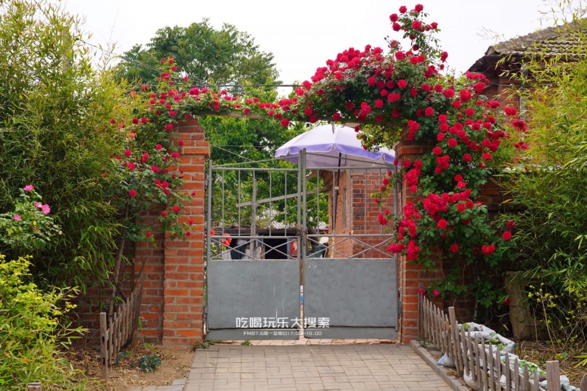 遇上浓浓的大连海蛎子味,青岛海蛎子旅游攻略