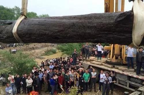 民间高手野外生存建造木屋,民间高手打造千万豪车