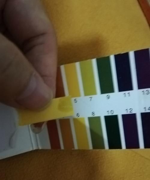 植物酵素的护肤品,酵素护肤品成分