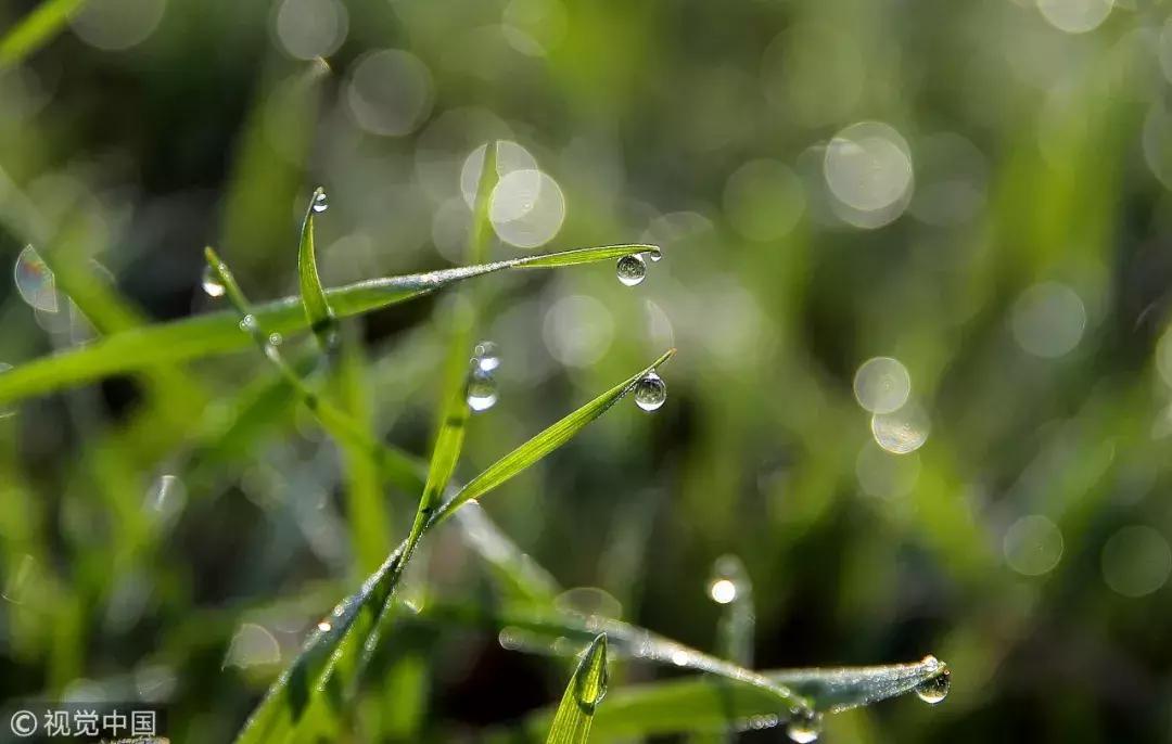 过年保健品,过年送什么保健品