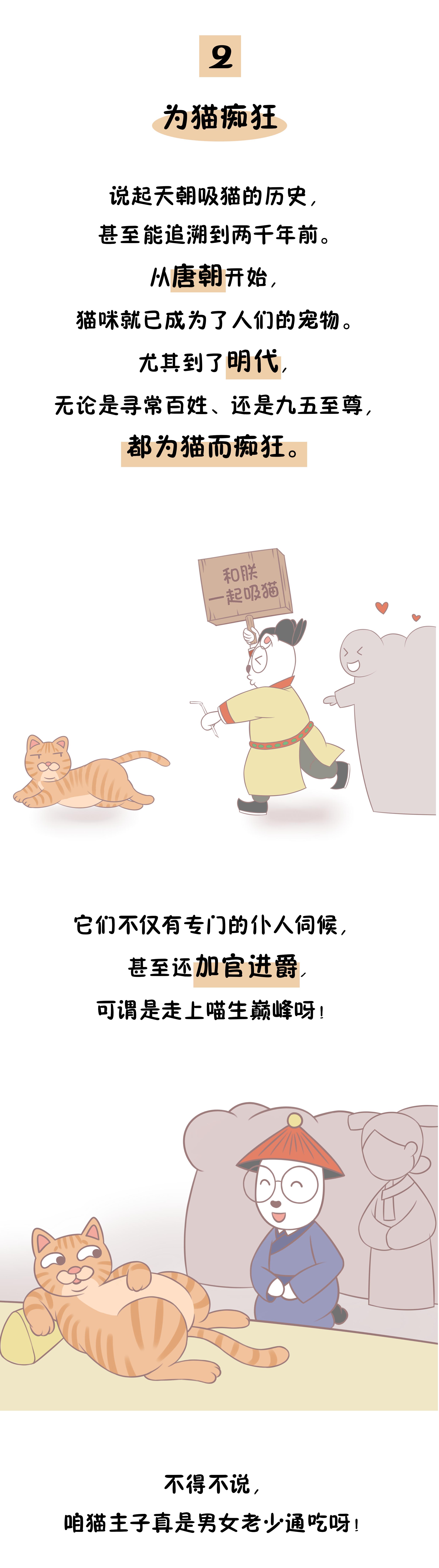 吃*肉猫**竟是国人的忌讳，仅仅是因为口感不好吗？可没那么简单