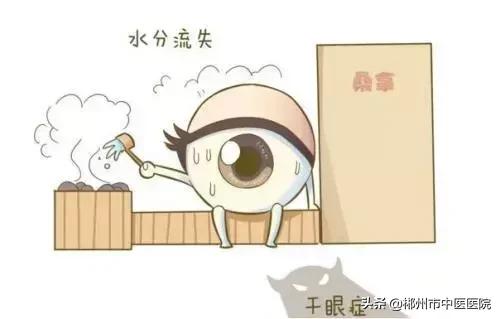 中老年人眼病的防治知识,中老年眼病怎么治