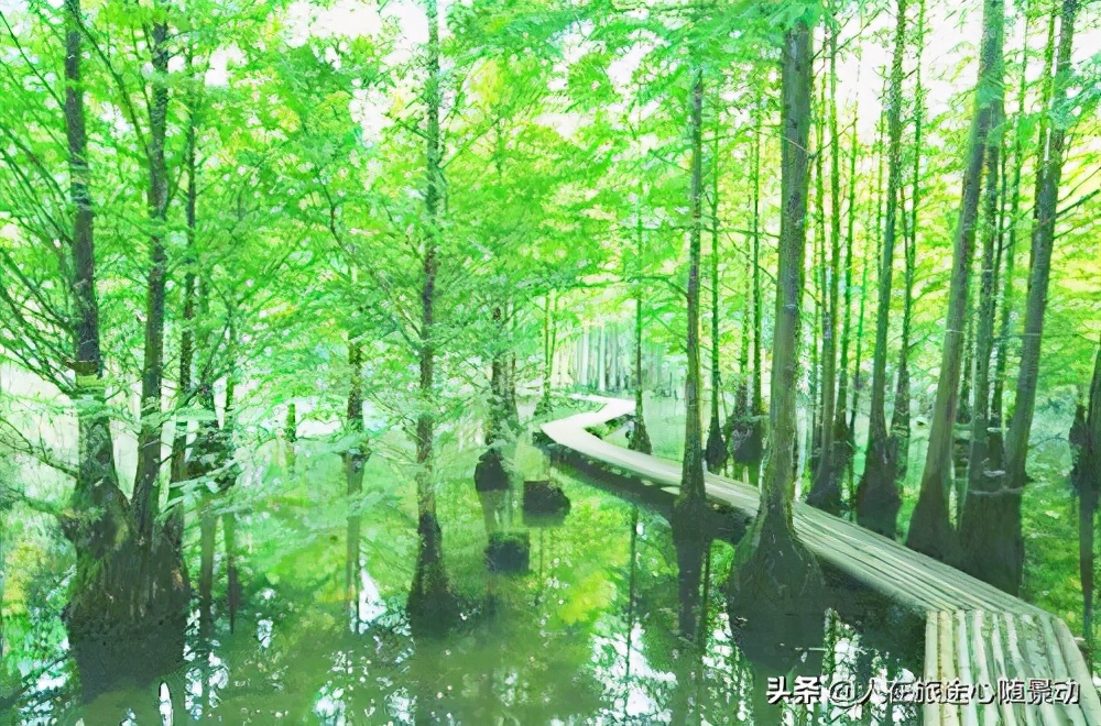 南京江宁区旅游必去的景点免费,南京江宁旅游攻略必去景点排名