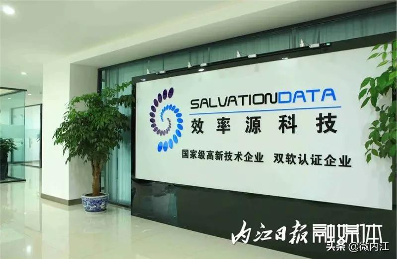 鍐呮睙鍗佸己浼佷笟,鍐呮睙涓浗鐧惧己浼佷笟