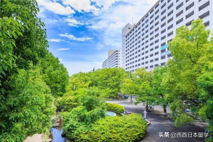 日本东京分为哪些市,日本东京各区