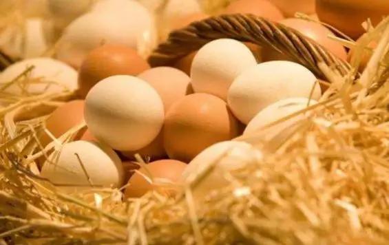 市场上有人造鸡蛋吗真假区别在哪,怎样分别人造鸡蛋和真正的鸡蛋
