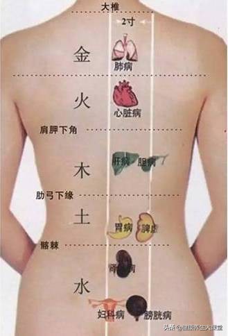 你的“背”泄露你的“病”