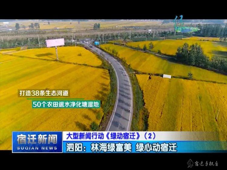 走进平原林海泗阳，一起感受辽阔壮美的泗阳之绿