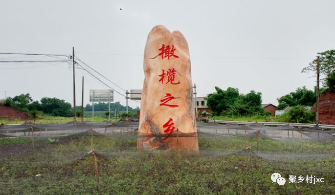 重庆江津石蟆青果,江津石蟆青果