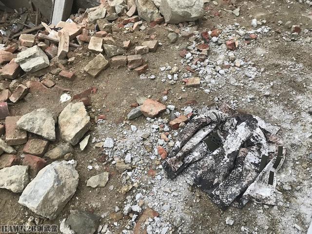 用照片说话：德国幻影公司“黄蜂II”Z4迷彩实际伪装效果如何？