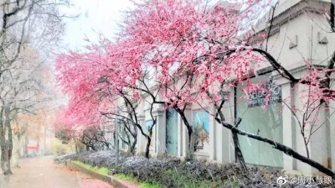 霉霉段子,霉霉的段子