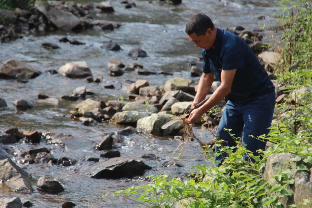 我要去旅行英文,我要去旅行完整版