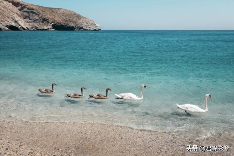 夏天的味道藏在哪里,徕卡哈苏照片
