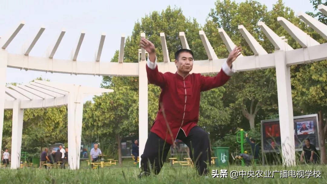 田间示范秀养鸡视频,田间示范秀节目