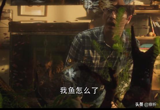 当夫妻变成兄弟是什么感受,当夫妻变成亲人