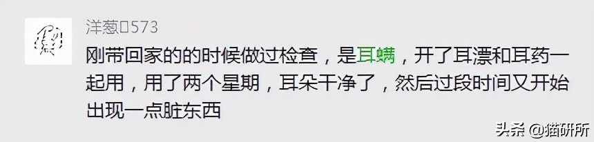 猫咪耳螨怎么治疗才能彻底好,耳螨猫咪用什么药猫咪老是乱动