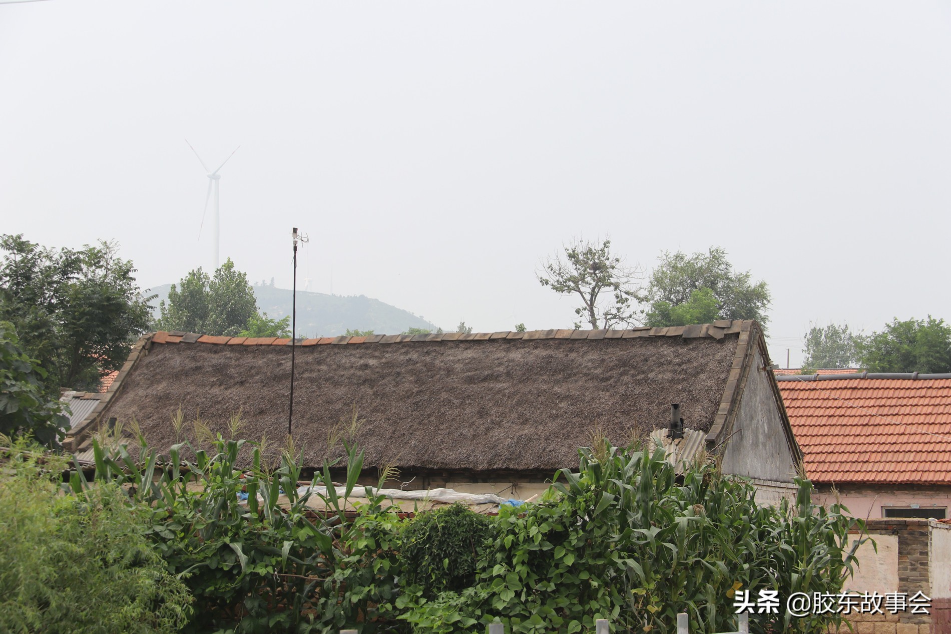 莱阳市胶东乡村游记,航拍胶东丘陵深处的一个小山村