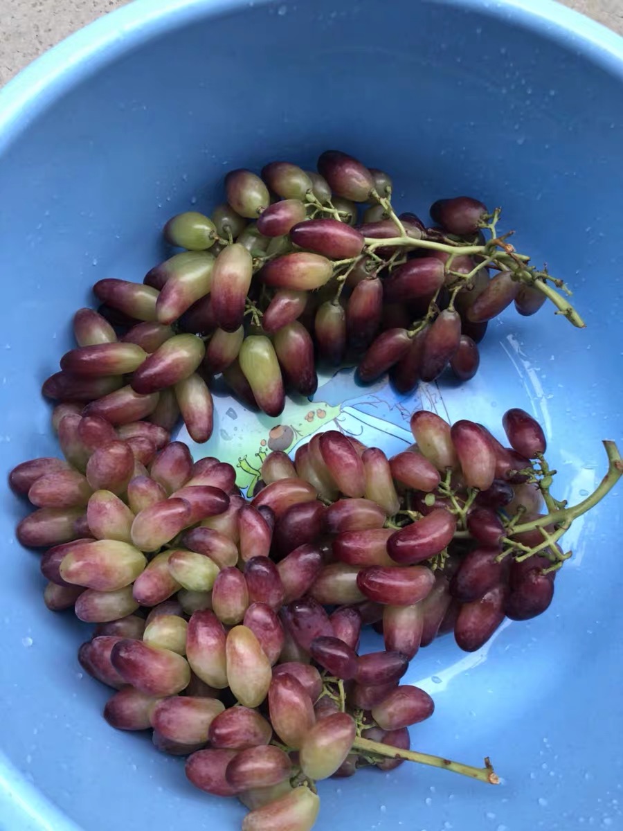 这6种水果不容错过,这6种水果记得多吃