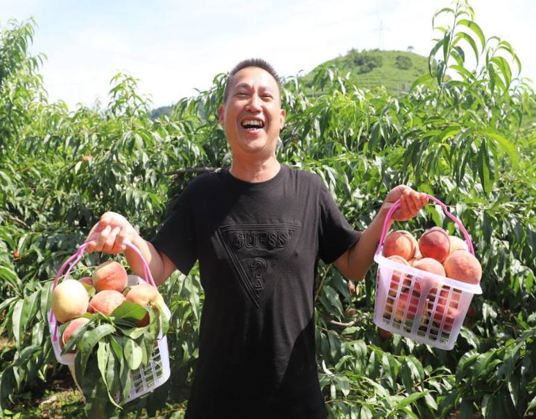 农家致富新思路,农民种田有奇招