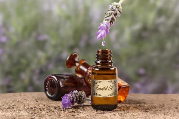 按摩精油的功效与作用,艾草精油的功效与作用