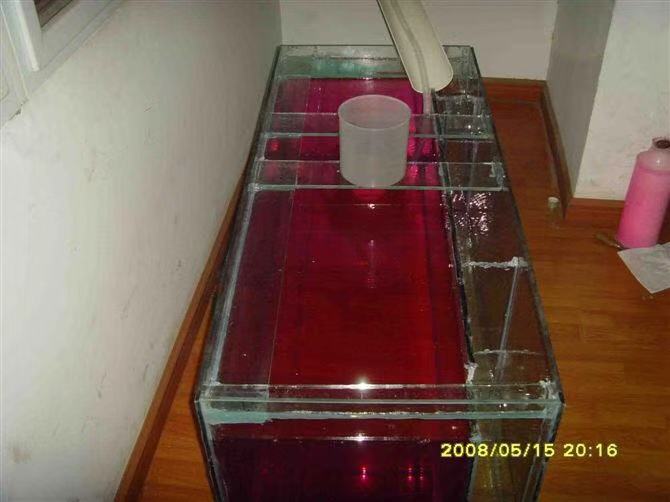 鱼缸养锦鲤鱼技术大全,缸养小锦鲤鱼的基本方法