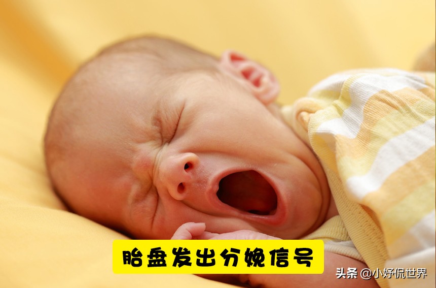 分娩知识,孕妇分娩宫缩知识