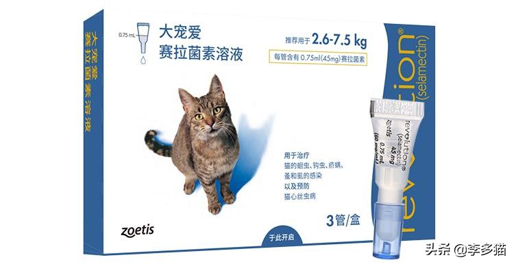 新手养猫必看一招搞定猫咪驱虫,养宠须知这份猫咪驱虫指南请收好